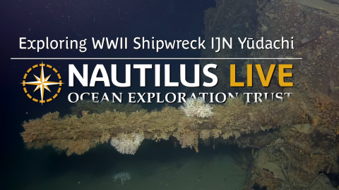 Exploring WWII Shipwreck IJN Yūdachi 