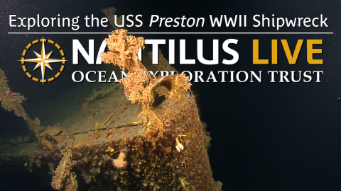 Exploring the USS Preston WWII Shipwreck