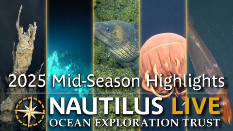 MidSeason Highlight thumbnail