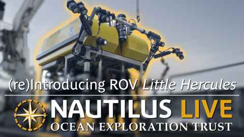 (re)Introducing ROV Little Hercules 