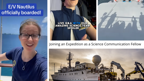 Erin Anthony collage of video stories