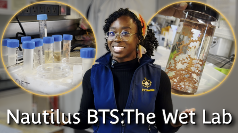 Behind-the-Scenes of E/V Nautilus: Wet Lab