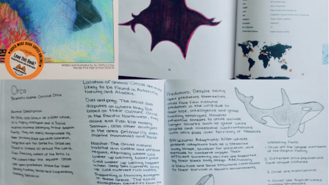 marine creatures in the ocean edu resource