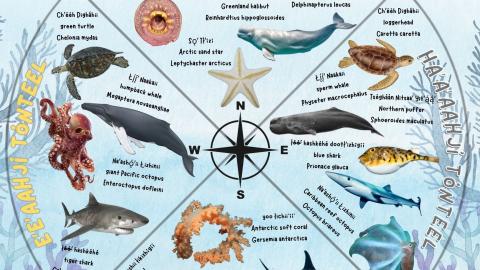 Navajo language animal poster