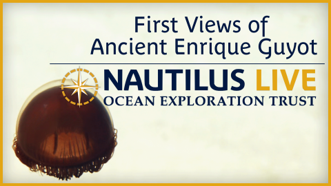 First views of ancient Enrique Guyot
