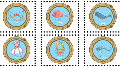 Various creatures from Dichotomous Key