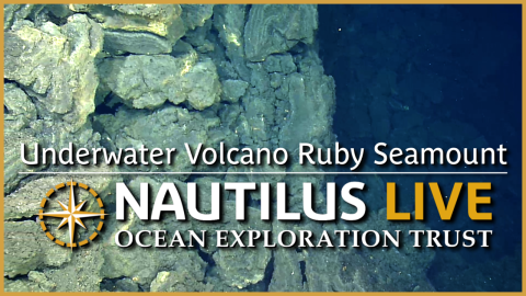 Ruby Seamount thumbnail