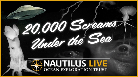 20,000 Screams Under the Sea