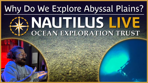 Why Do We Explore Abyssal Plains?