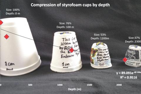 Styrofoam cups compressed by ocean depth