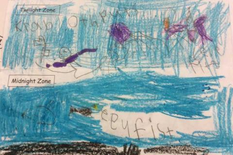 Student work example for Ocean Zone lesson