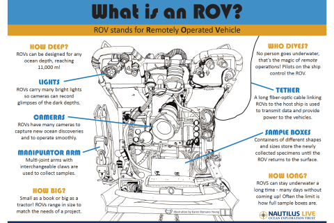 What is an ROV infographic