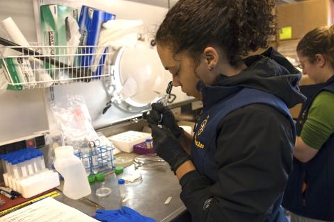 Taylorann Smith marks sample tubes in the wetlab