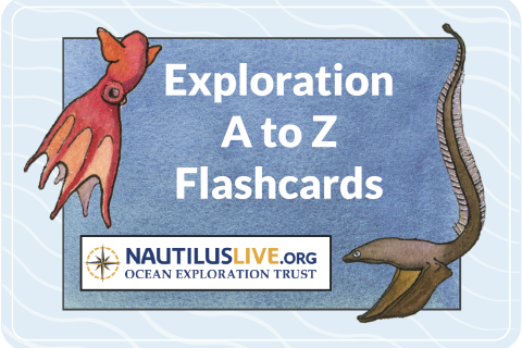 Watercolor painting of dumbo octopus and gulper eel surround text Exploration A to Z Flashcards