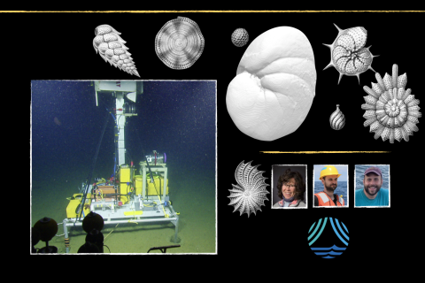 Image collage of the ABISS lander underwater and Haeckel forams drawings in black and white
