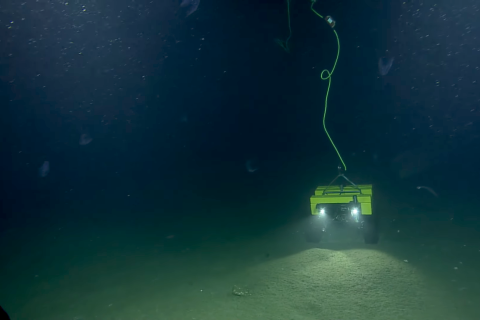 Image of dark blue water with a small yellow robotic vehicle with treads on a grey sedimented seafloor.  Two headlights shine forward from the vehicle and a yellow corkscrew cable rises from the vehicle out the top of the frame