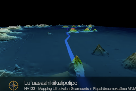 Mapping the Lili’uokalani Underwater Mountain Chain (Papahānaumokuākea Marine National Monument)
