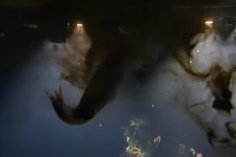 This particular type of inking is known as a pseudomorph- a small cloud of ink resembling the shape of its producer meant to distract predators so the squid can escape.