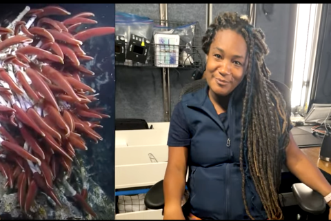 Side by side view of Dijanna Figueroa and tubeworms her favorite ocean animal