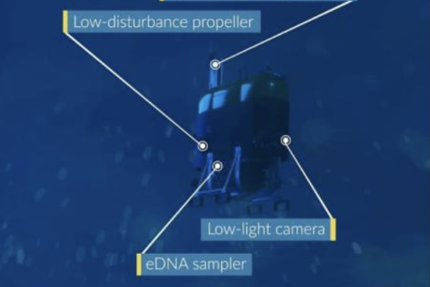 Introducing HROV Mesobot: Midwater Maverick 