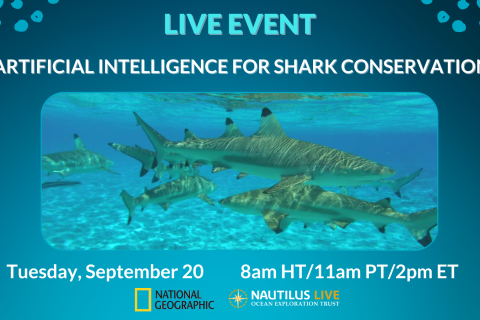 Banner for a live event on September 20 showing blacktip reef sharks with the text overlap Artificial Intelligence for Shark Conservation and the logos of National Geographic and Ocean Exploration Trust