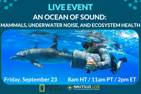 Banner image announcing the live event reads An Ocean of sound mammals, underwater noise, and ecosystem health with a picture of a person swimming alongside a Pacific spotted dolphin