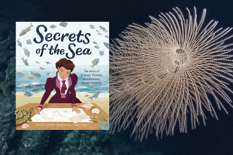 Secrets of the Sea Storytime at Sea