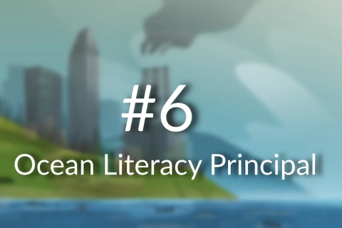 Ocean Literacy Principle 6: Humans and Oceans Are Interconnected
