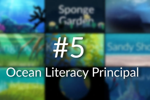 Ocean Literacy Principle 5: The Ocean Supports Earth’s Diversity