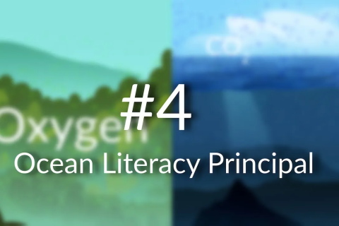 Ocean Literacy Principle 4: The Ocean Makes Earth Habitable