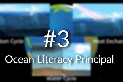Ocean Literacy Principle 3: The Ocean Influences Weather and Climate 