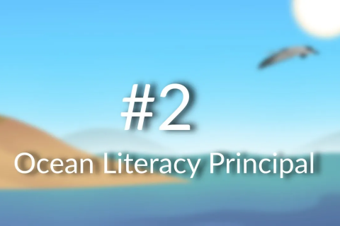 Ocean Literacy Principle 2: The Ocean Shapes Earth