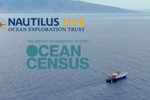 Ocean Exploration Trust and Ocean Census Partner to Accelerate Ocean Exploration and New Species Discovery