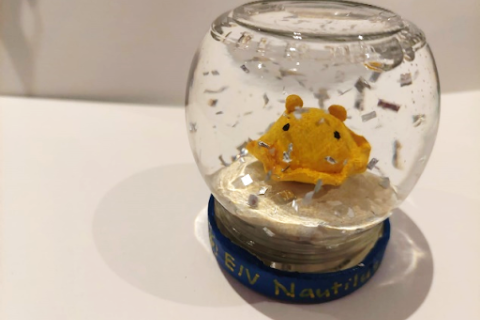 Example of snow globe with octopus inside