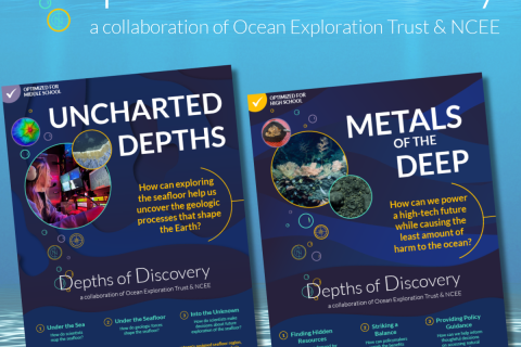 Depths of Discovery cover pages