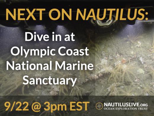 Next on Nautilus Olympic Coast NMS banner