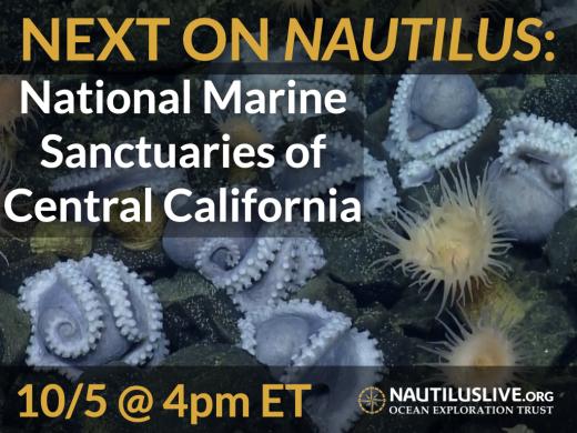 Next on Nautilus National Marine Sanctuaries of Central California over a picture of purple octopus