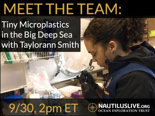 Meet the Team promotion