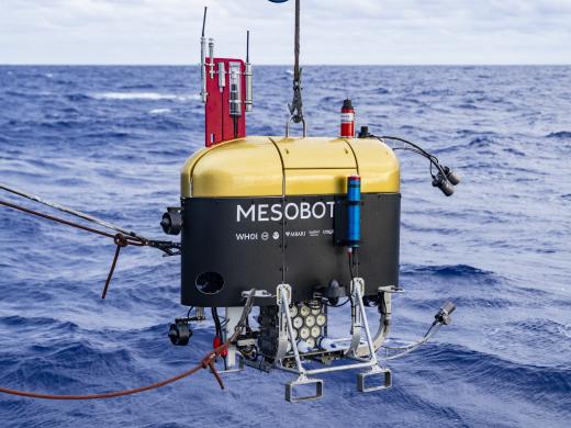 Mesobot