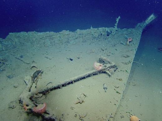 Bow of shipwreck