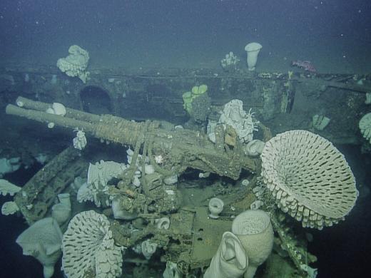 Gun with corals on the USS Independence wreck