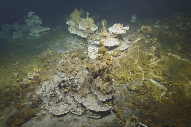 Exploring Vailulu’u Seamount 