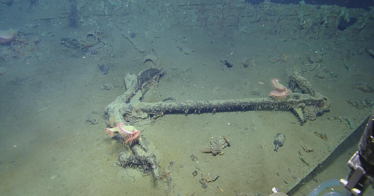 Shipwreck 15577 Dive Highlights July 19 | Nautilus Live