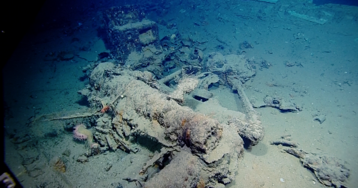 Shipwreck 15577 - Observing a Cannon | Nautilus Live