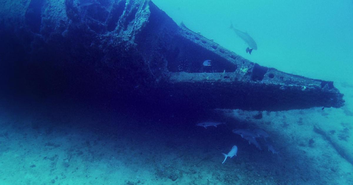 U-boat Wreck Dive: Photos of U-2513 | Nautilus Live