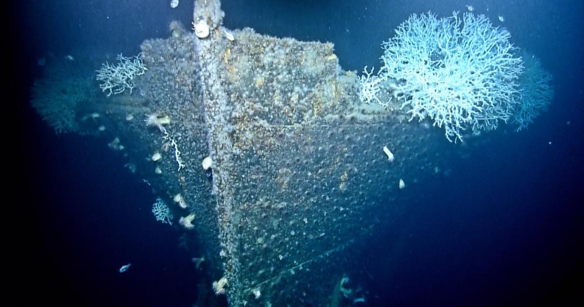 Following Operation Drumbeat The Wrecks of SS Gulfpenn and SS Alcoa