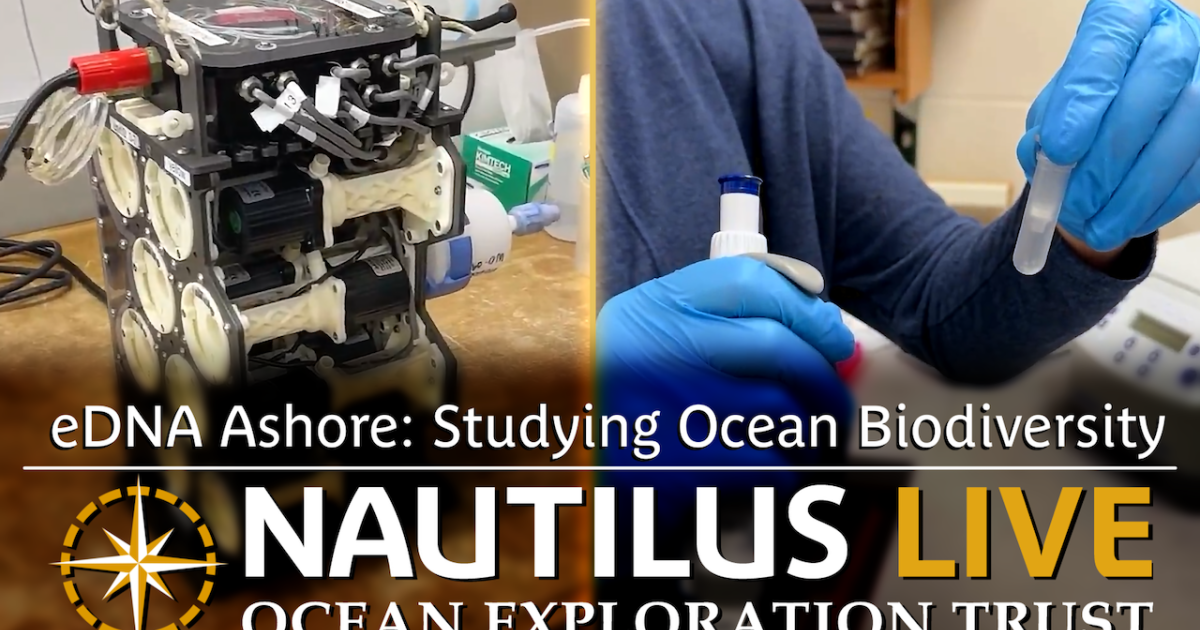 Edna Graph eDNA Ashore: Studying Ocean Biodiversity | Nautilus Live