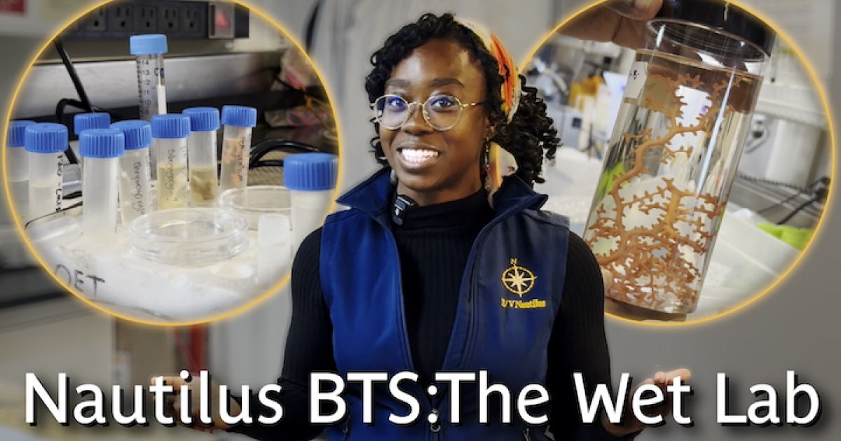 Behind-the-Scenes of E/V Nautilus: Wet Lab | Nautilus Live