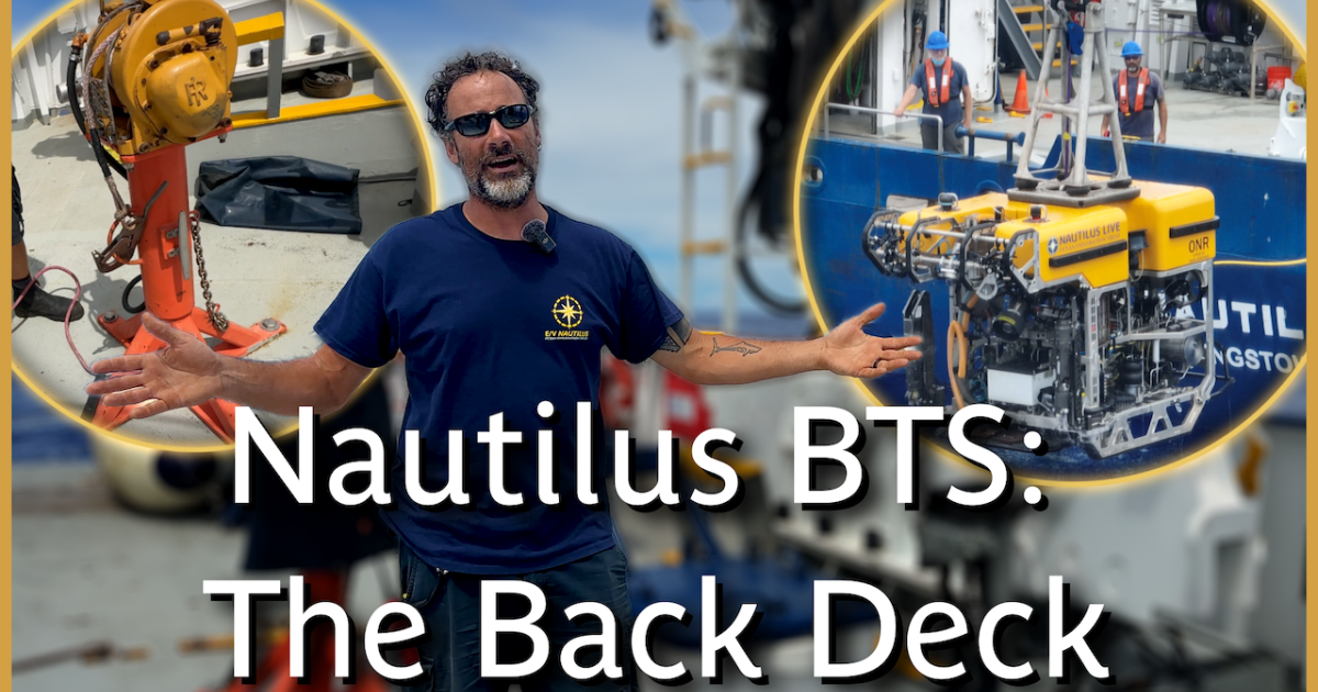 Behind-the-Scenes of E/V Nautilus: Back Deck | Nautilus Live