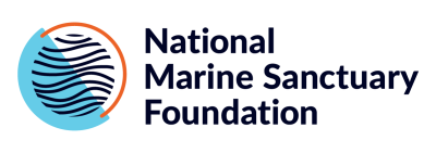 NMSF logo